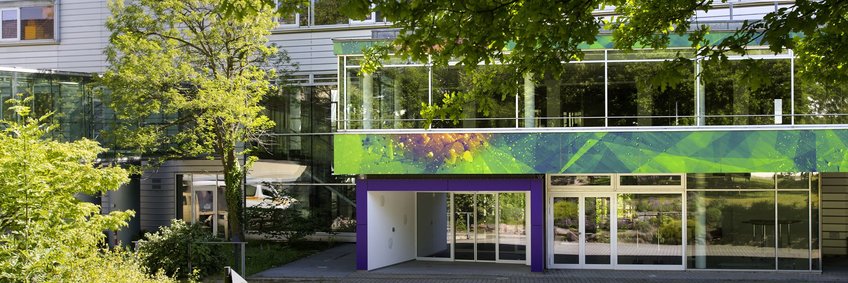 About the Institute About the Institute