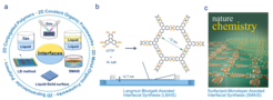 (a) Schematic illustration of interface-assisted reactions toward organic 2DMs. (b) Langmuir-Blodgett-assisted interfacial synthesis (LBAIS) toward monolayers. (c) Surfactant-monolayer-assisted interfacial synthesis (SMAIS) toward few-layers.