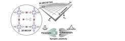 Boronate ester based 2D polymer films for neuromorphic memory device.