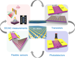 Schematic illustration of 2D c-MOFs for (opto-)electronics.