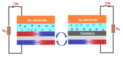 Ionic liquid controlled transition between SAF and single ferromagentic domain walls