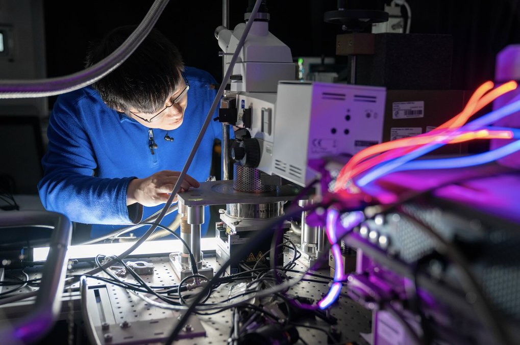 Magneto-optical and Ultrafast Optical Studies