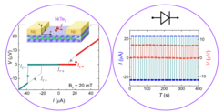 A schematic drawing of a Josephson diode device that is fabricated from an exfoliated sheet of the topological semi-metal, nickel di-telluride (NiTe2). This sheet becomes superconducting via proximity with the two superconducting electrodes formed from the conventional superconductor, niobium (Nb). This means that current (I) flows between the Nb electrodes through the NiTe2 sheet without the application of any voltage (i.e. the voltage V between the Nb electrodes is zero). When a small magnetic field (here 20 mT) is applied (along the y direction) perpendicular to the flow of the supercurrent (x direction) the supercurrent flows only in one direction (right to left) and not in the other (left to right). On the right hand side is shown the rectification effect as the direction of the current flow is switched repeatedly from left to right and right to left every 10 seconds. The voltage between the Nb electrodes is zero for one direction but is non-zero for the opposite direction.