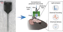 Conceptual illustration of the multifunctional nanophotonic neural probe with its shank implanted in the mouse brain. Multiple devices can be integrated on the probe shank, including electrodes, optical emitters, and a 3D-printed microfluidic channel. Peripheral instruments are essential for enabling the probe to perform multichannel optogenetic stimulation, electrophysiological recording, and chemical delivery and sampling
