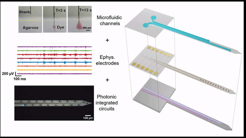 Implantable nanophotonic neural probes