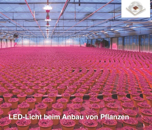Wie Halbleiter die Beleuchtungstechnik revolutionieren Wie Halbleiter die Beleuchtungstechnik revolutionieren
